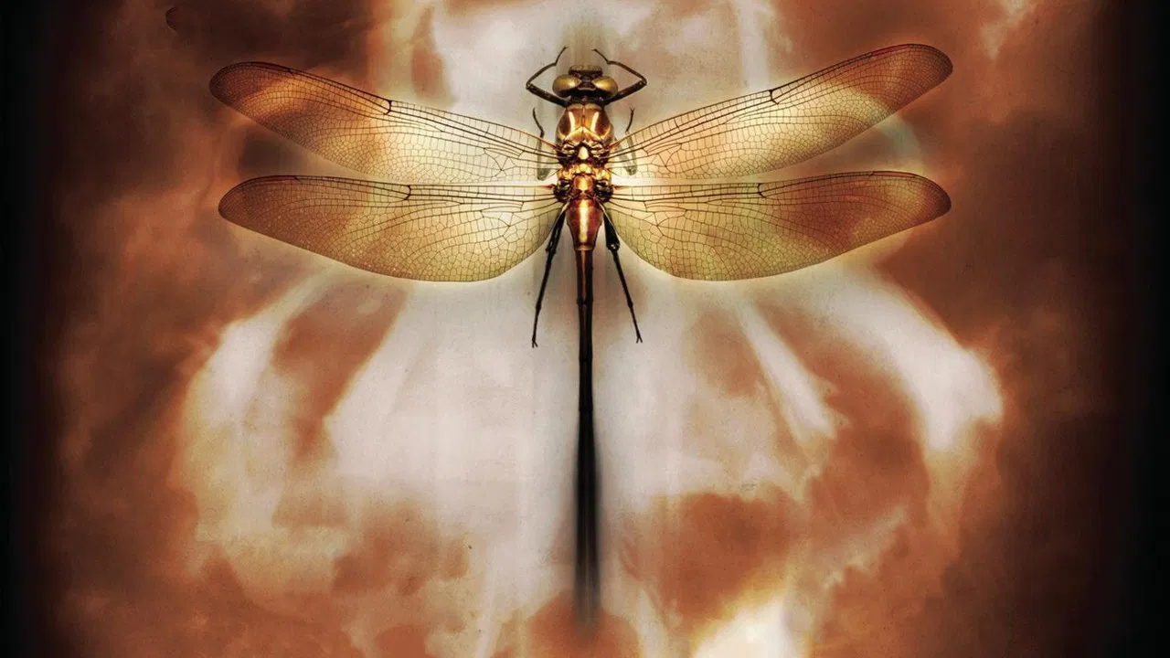 Coheed and Cambria: Neverender backdrop