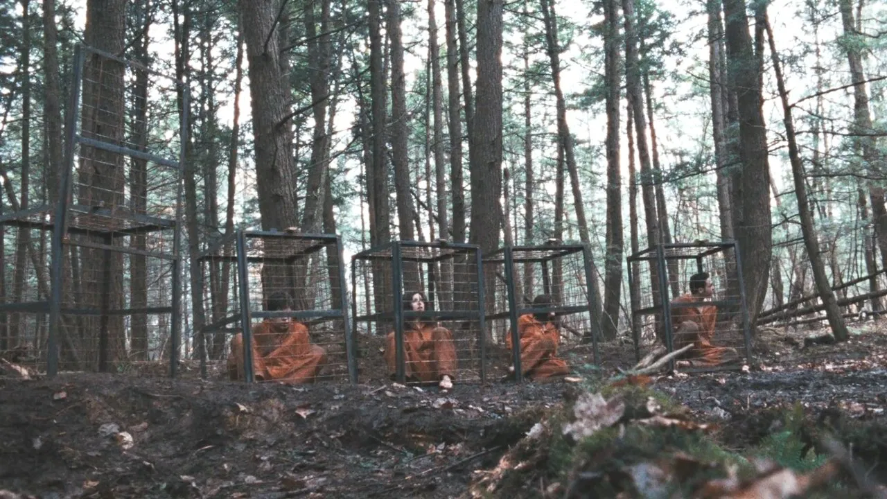 Territories backdrop