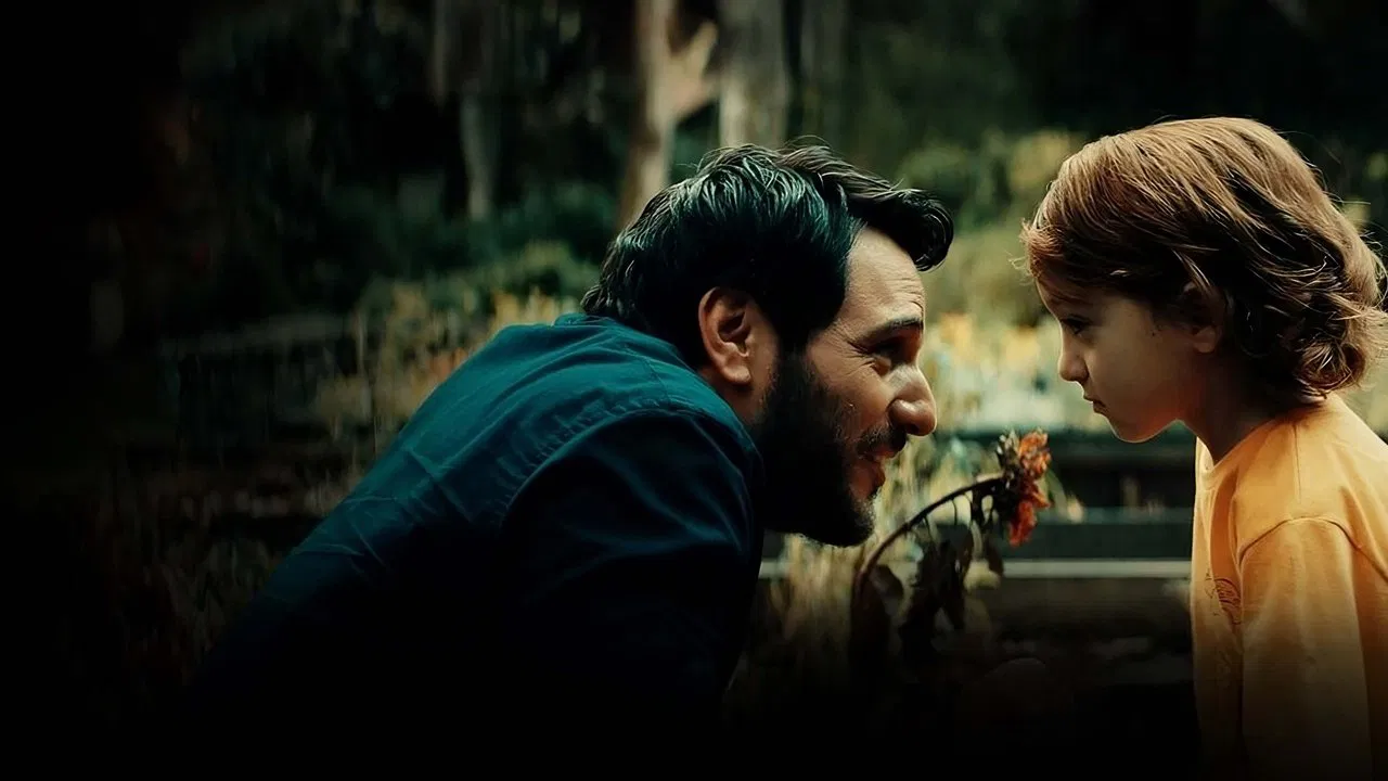 Jardim dos Girassóis backdrop