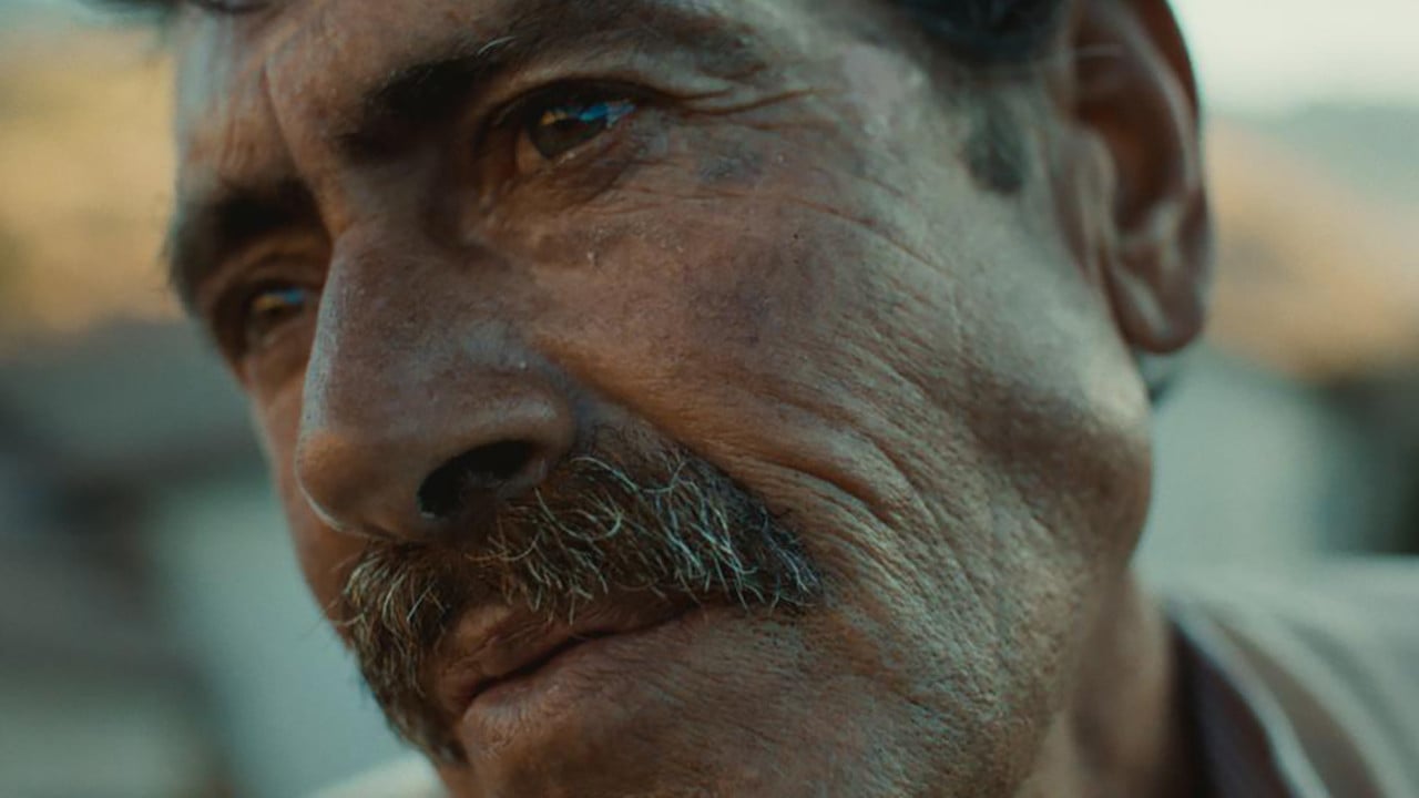 Looking for a Donkey backdrop