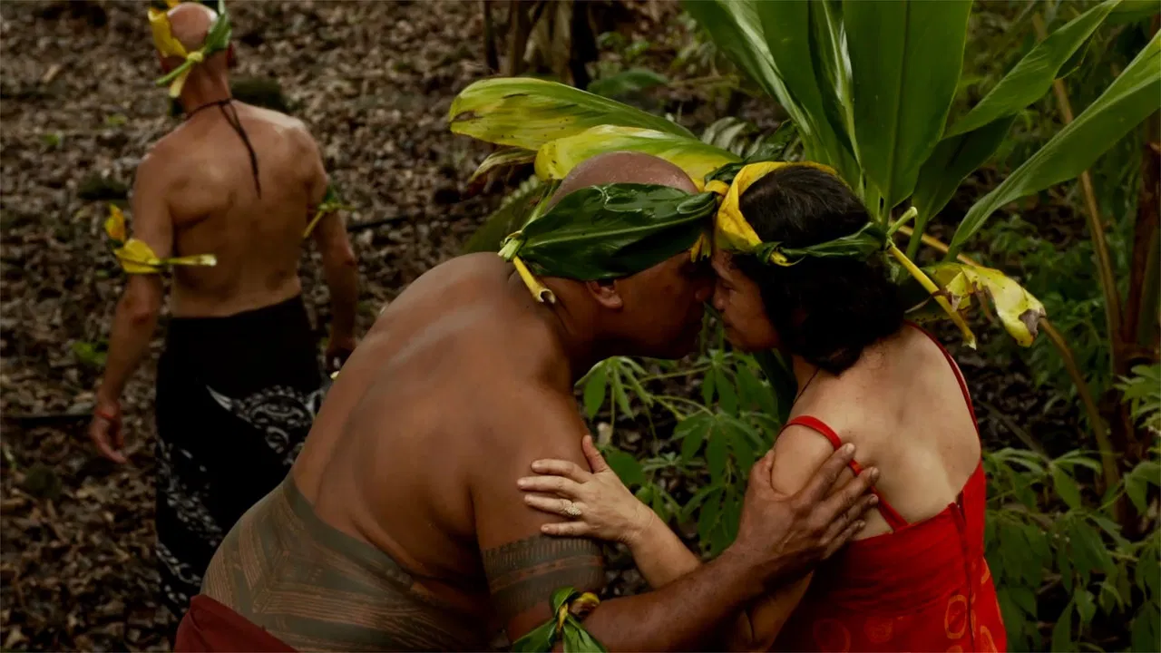 Tupaia’s Endeavour backdrop