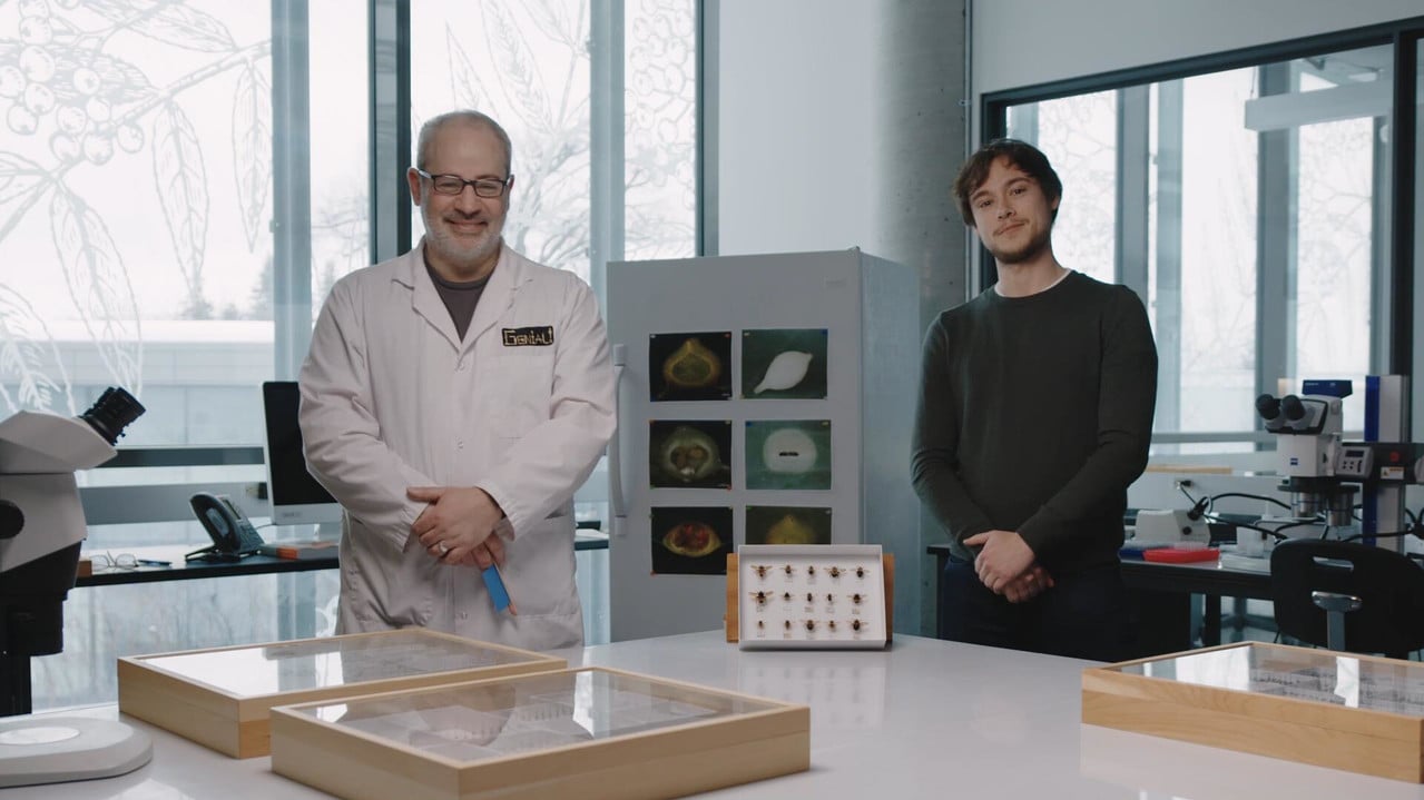 Ça grouille à l'orchestre : Génial! backdrop