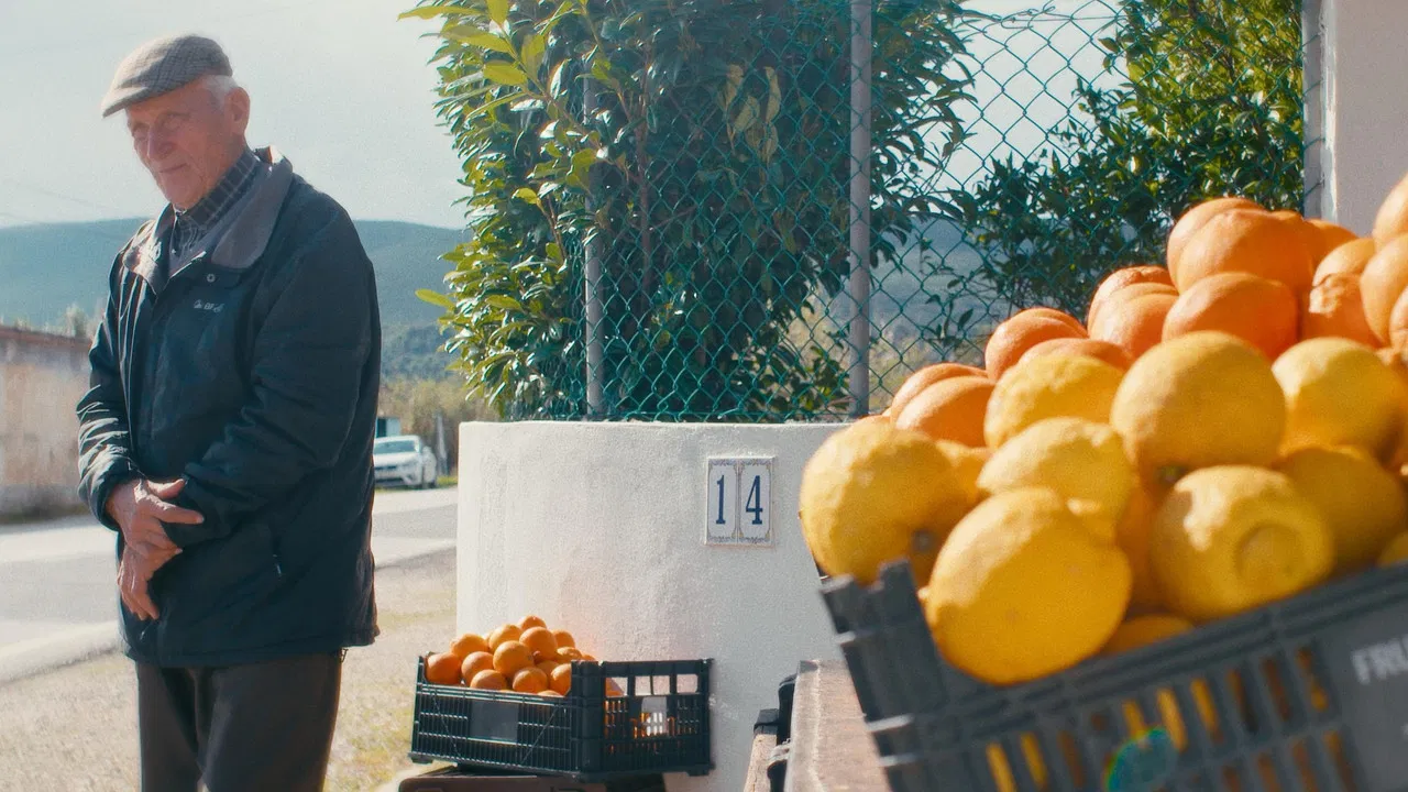 O Tempo De Comer Uma Laranja backdrop