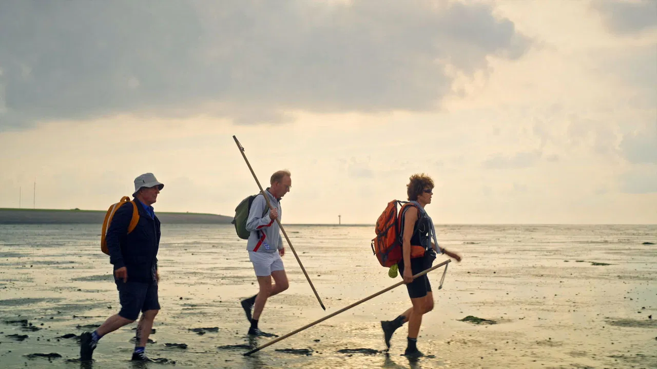 Langs de Kust backdrop