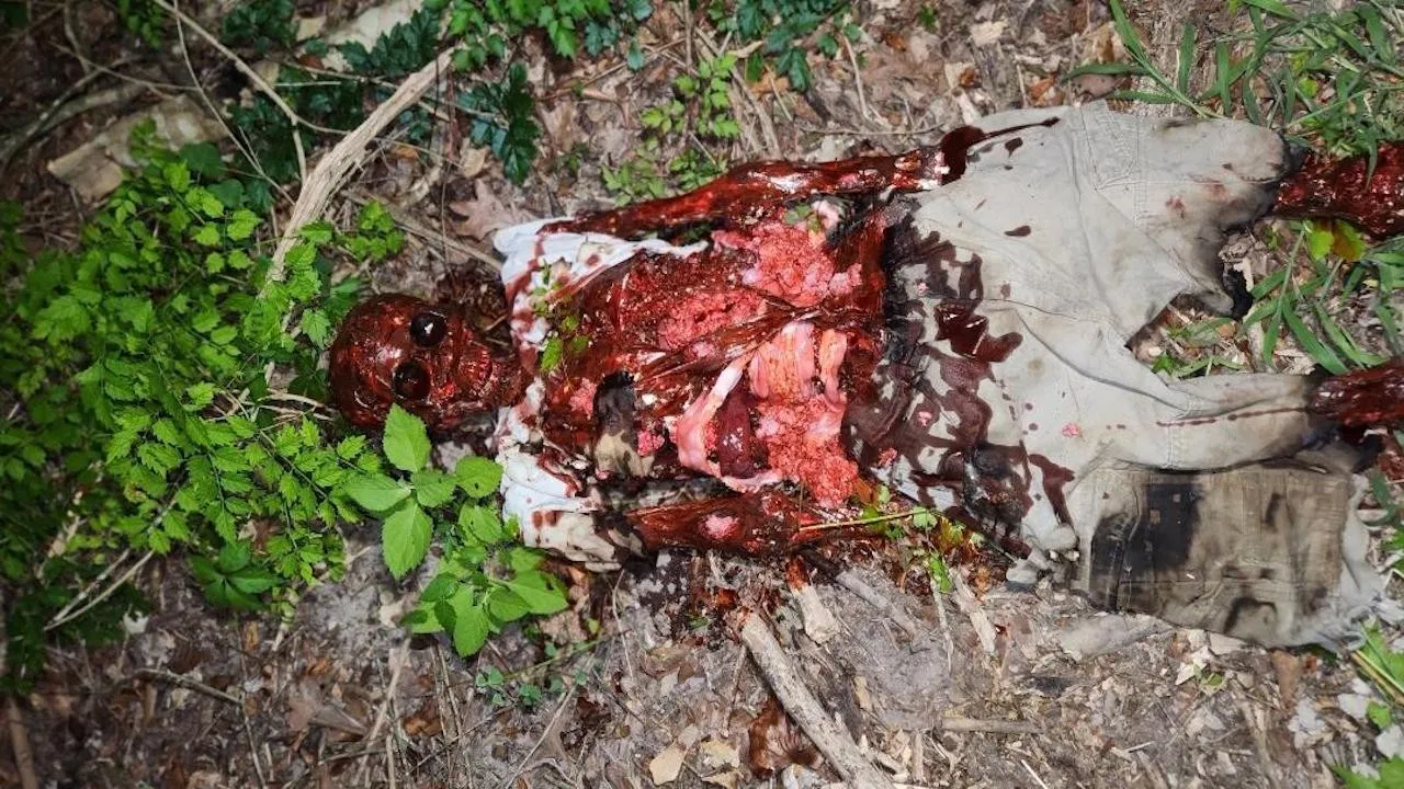Lights Over Montgomery County backdrop