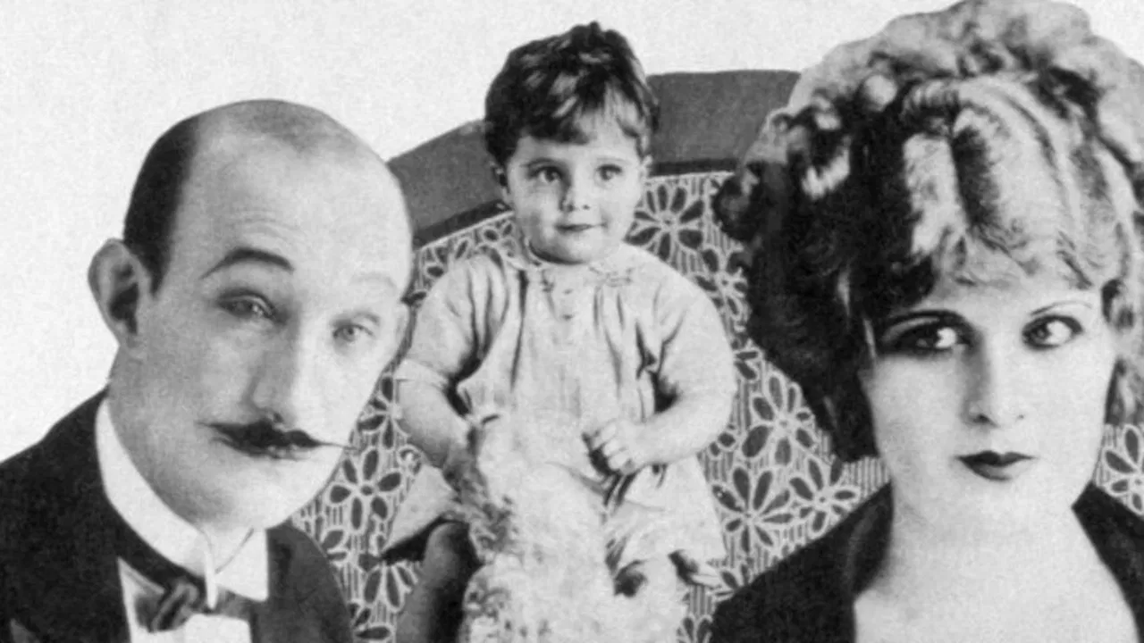 Don Key (Son of Burro) backdrop