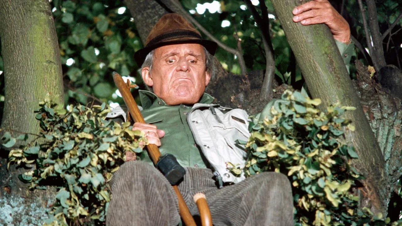 Silberdisteln backdrop