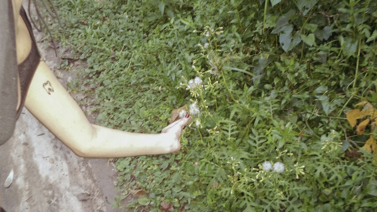 o céu diante dos meus olhos nunca é cinza backdrop