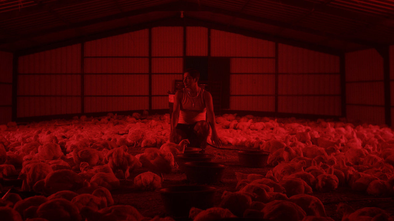 Lovers in the Sky backdrop