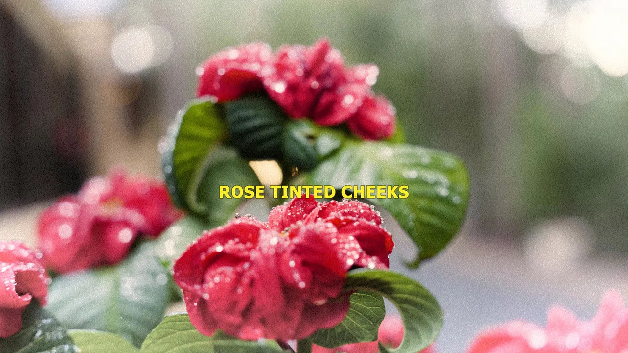 What Andy Never Knew backdrop