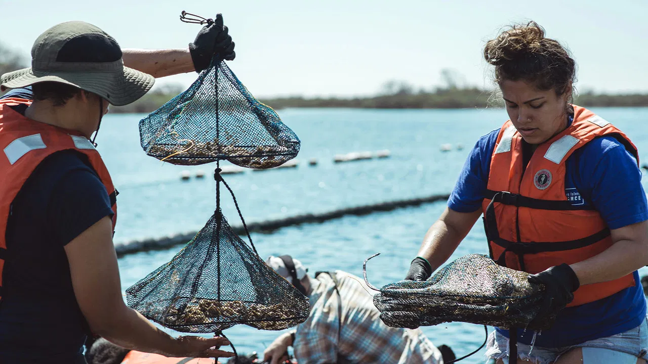 Take Back the Harbor backdrop