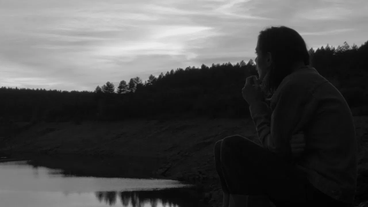 Three Six Five backdrop