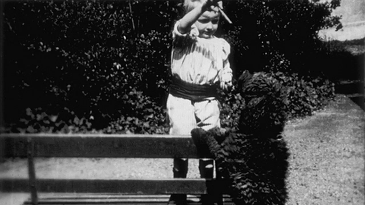 Enfant et chien backdrop
