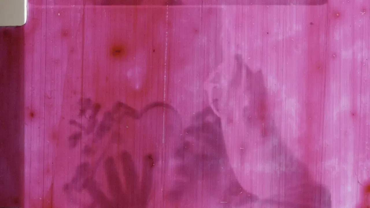 Anxiety Juice backdrop