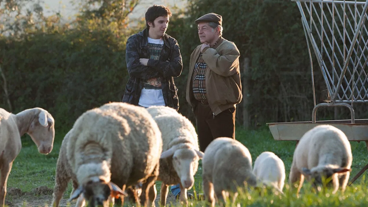 Vá Cavar Batatas backdrop