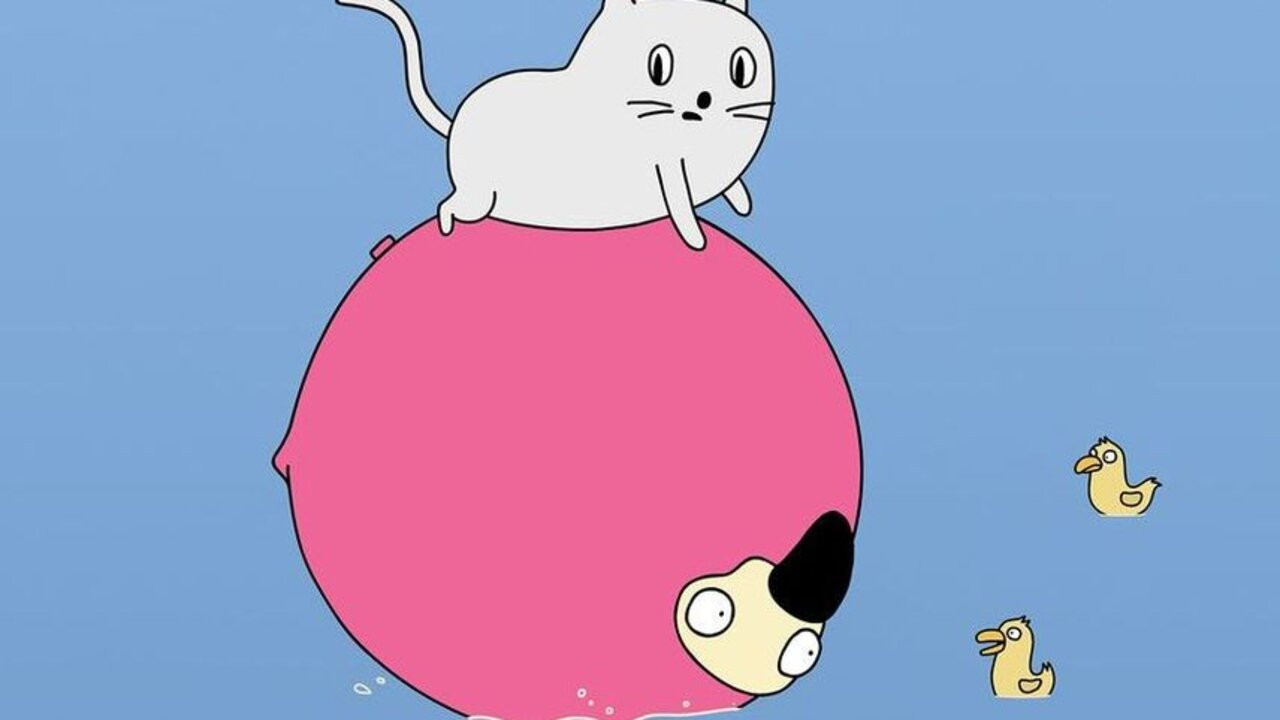 Cat Lake City backdrop