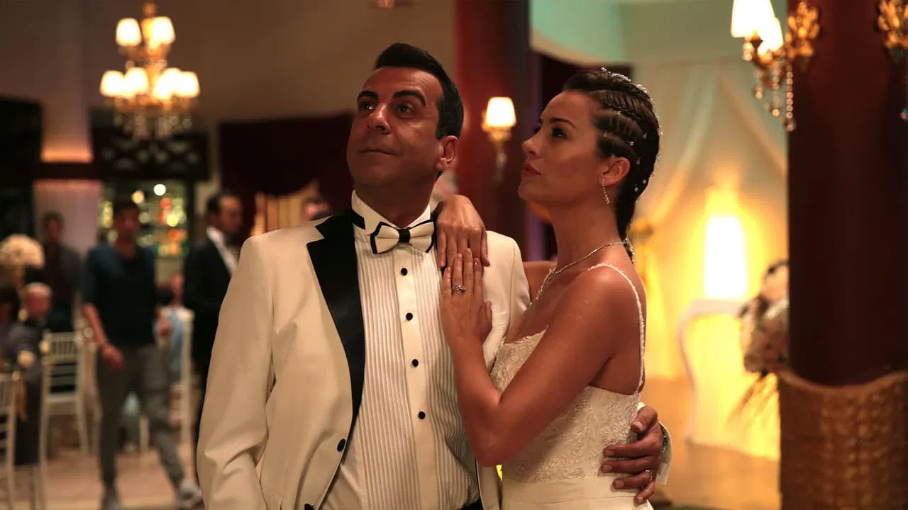 Night of Knots backdrop