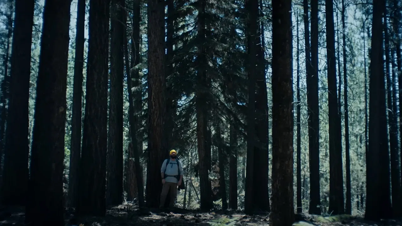 The Hidebehind backdrop