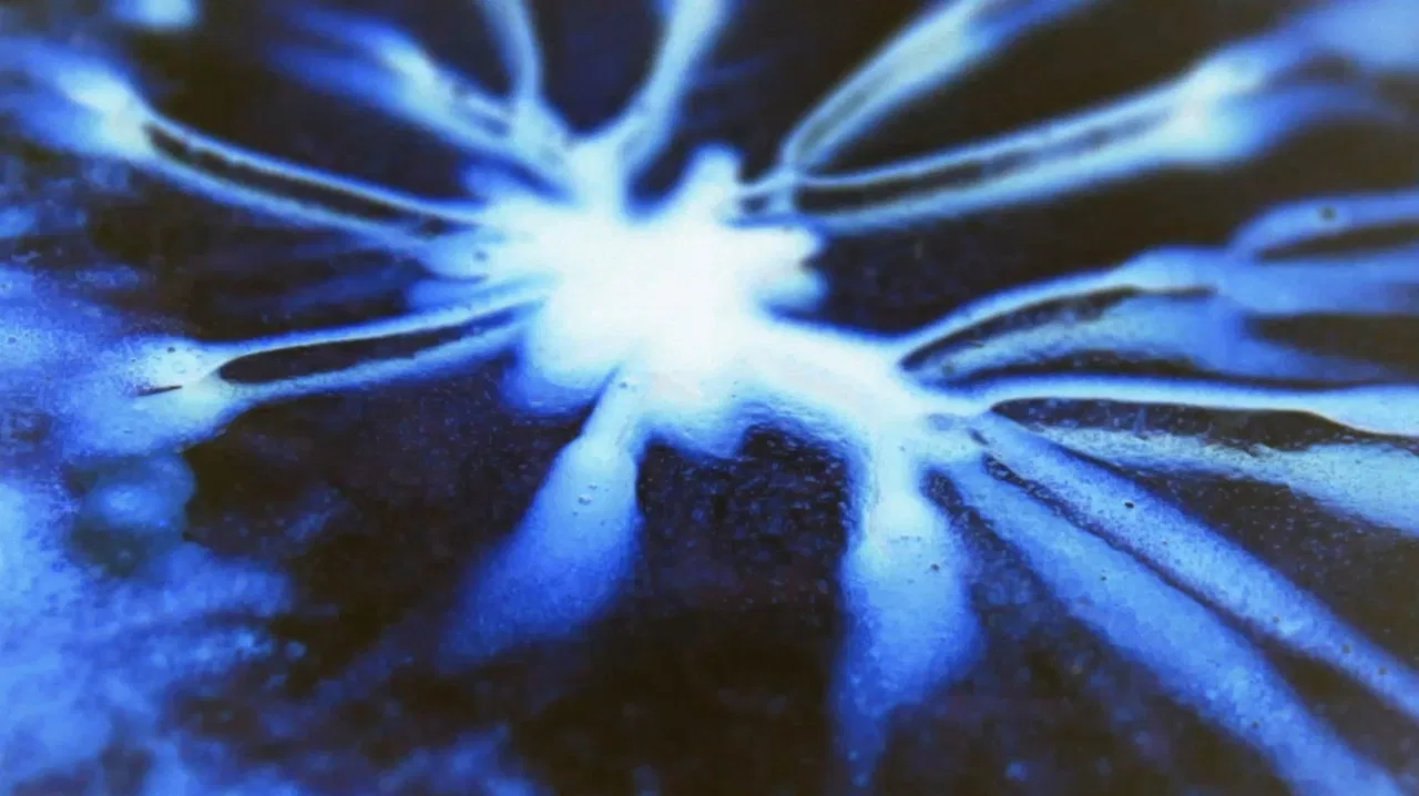 Magnification. backdrop