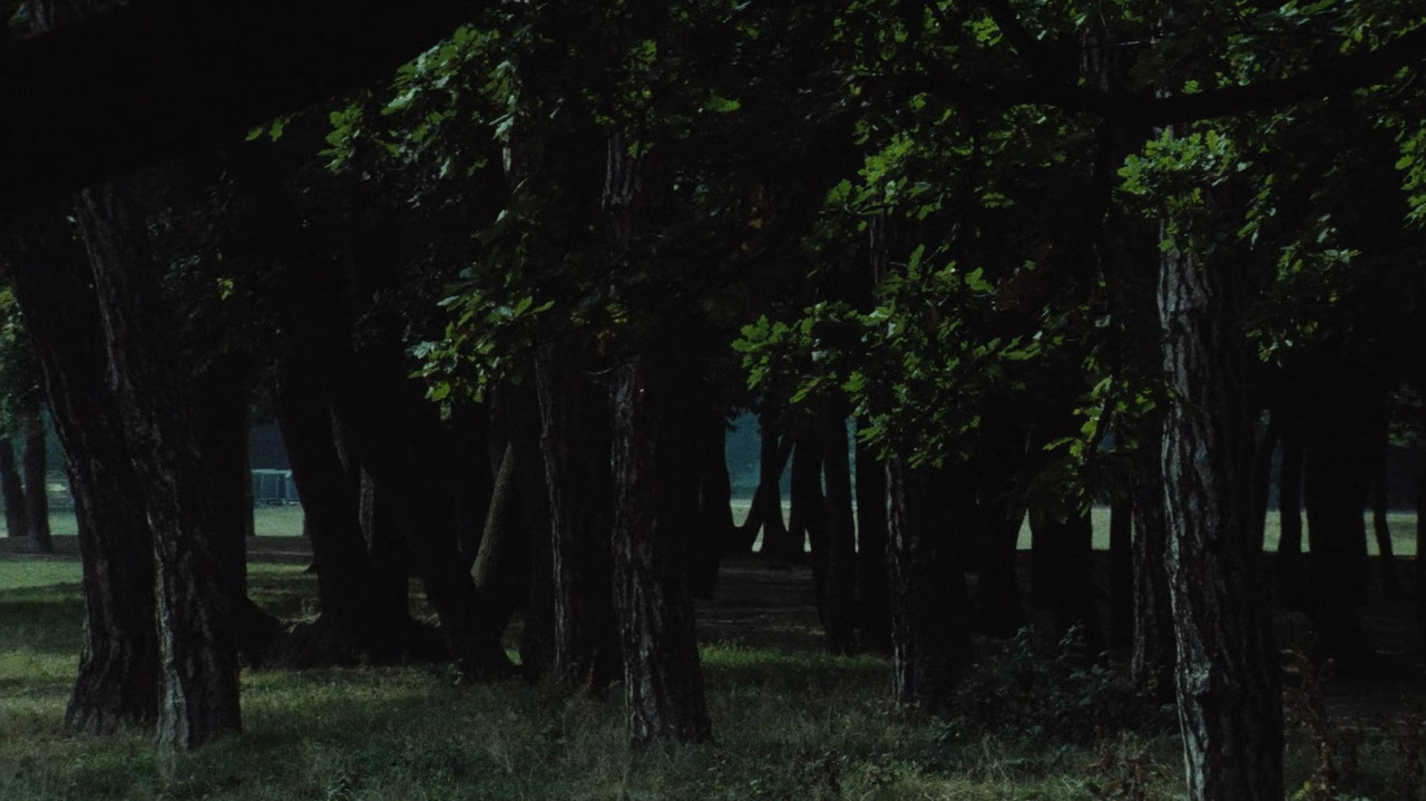 Le Navire Night backdrop