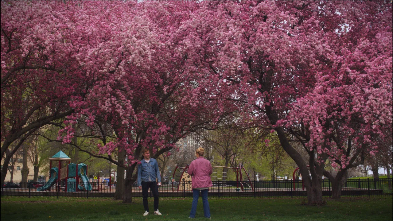 Stephanie Stevens backdrop