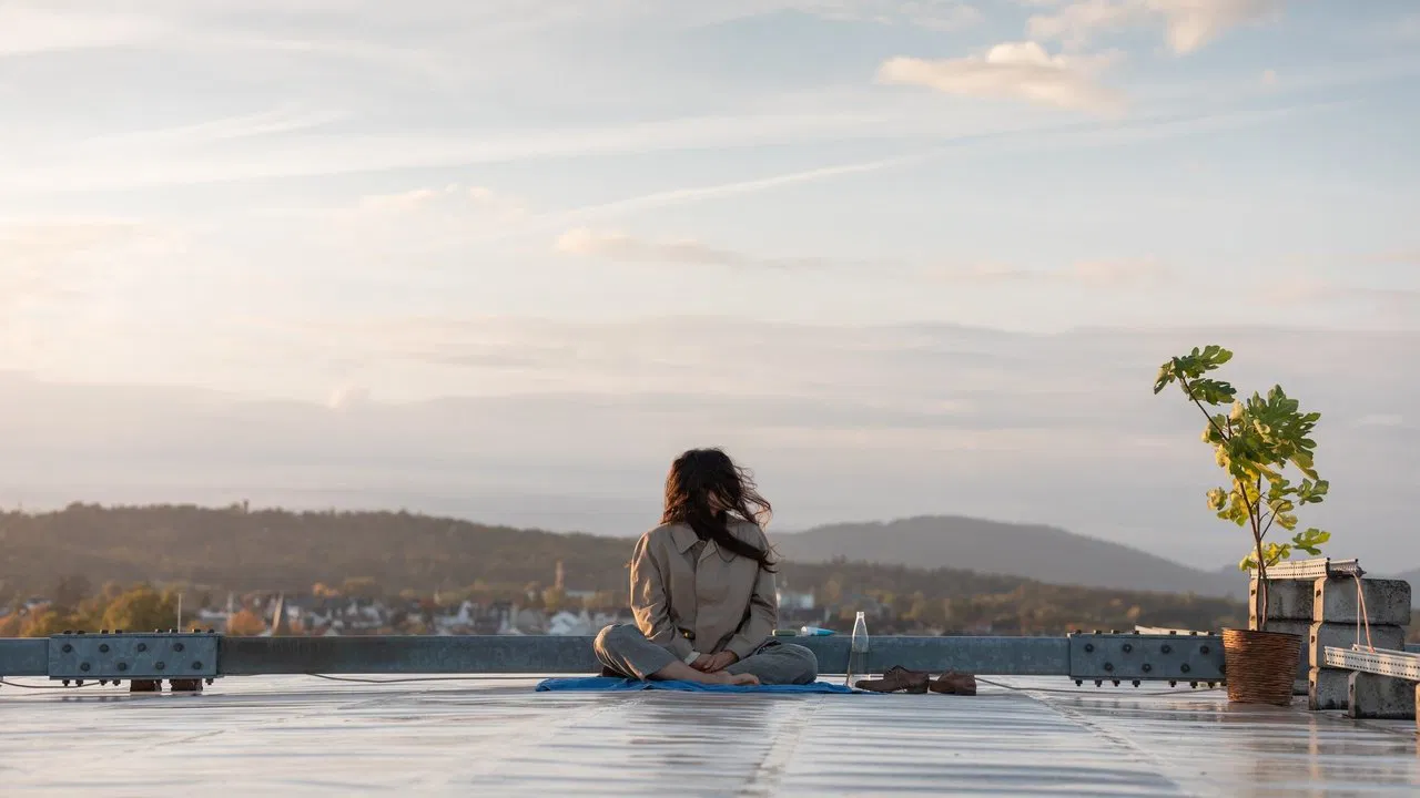 Chaos and Silence backdrop