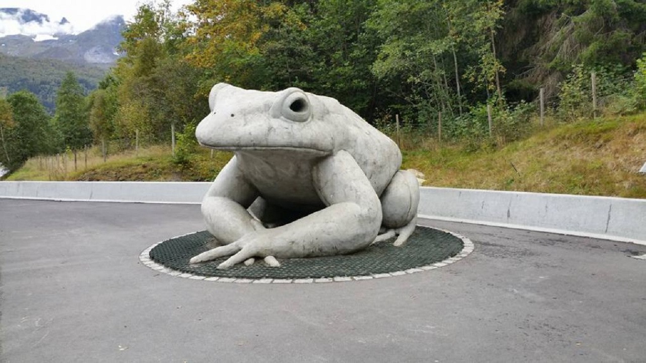 A Toad Story backdrop