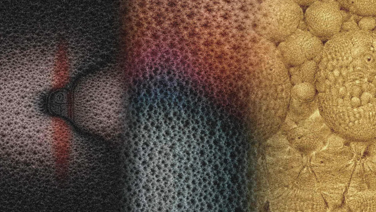 The Garden of Electric Delights backdrop