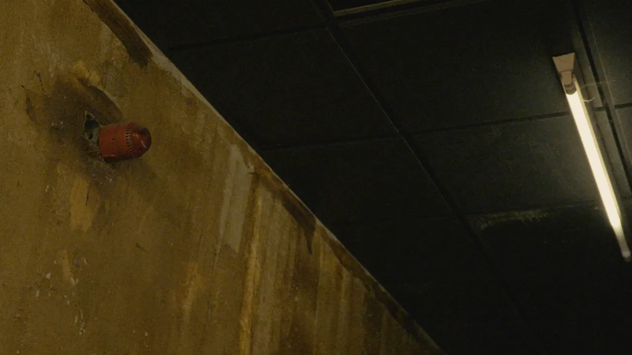 The Last Function backdrop