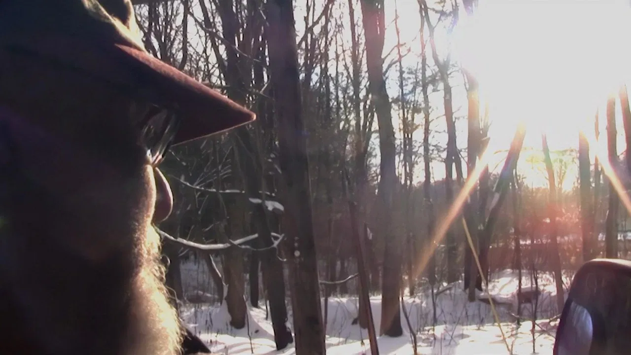 I've Seen Bigfoot backdrop