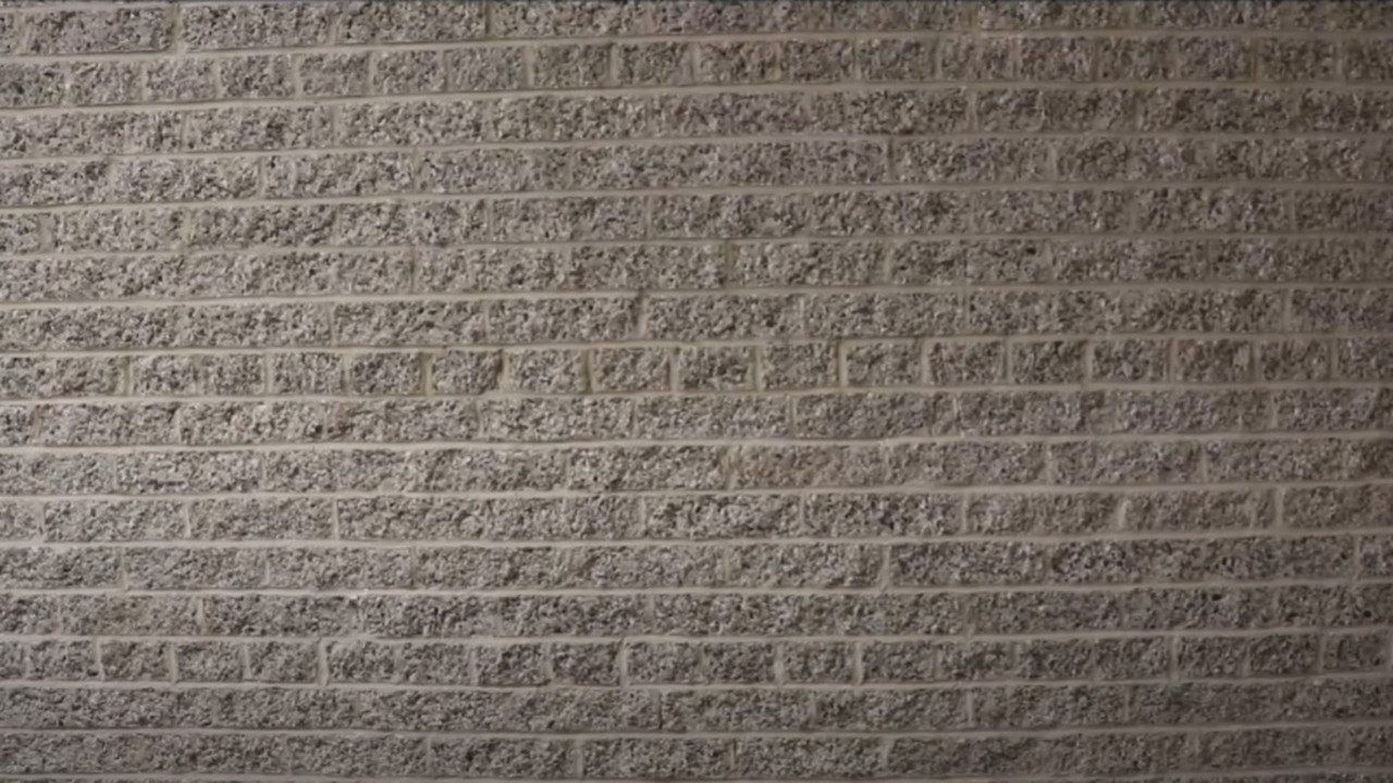 B A C K R O O M S backdrop