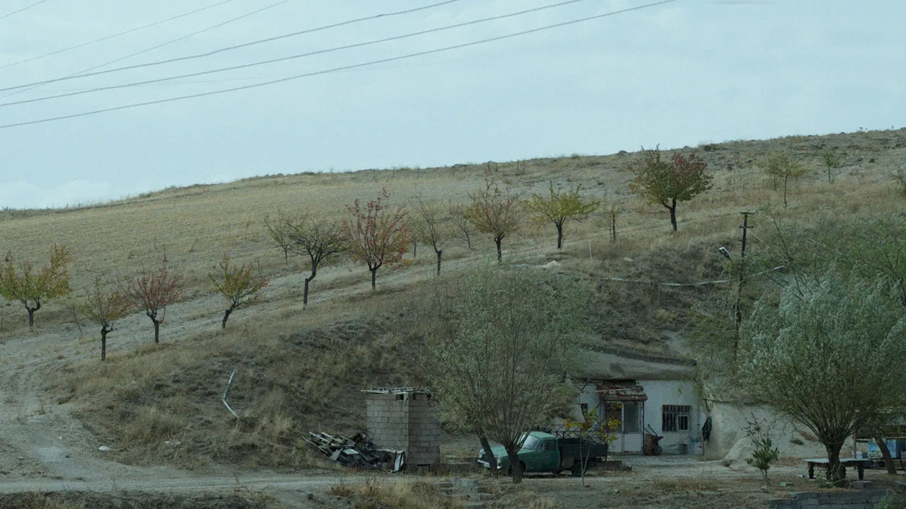 Shadow of Violence backdrop