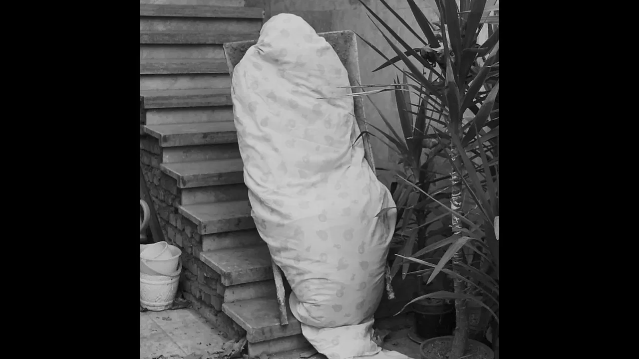 Family Gathering backdrop