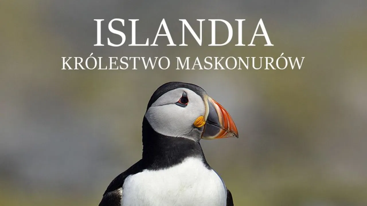 Islande, Le sanctuaire des macareux backdrop