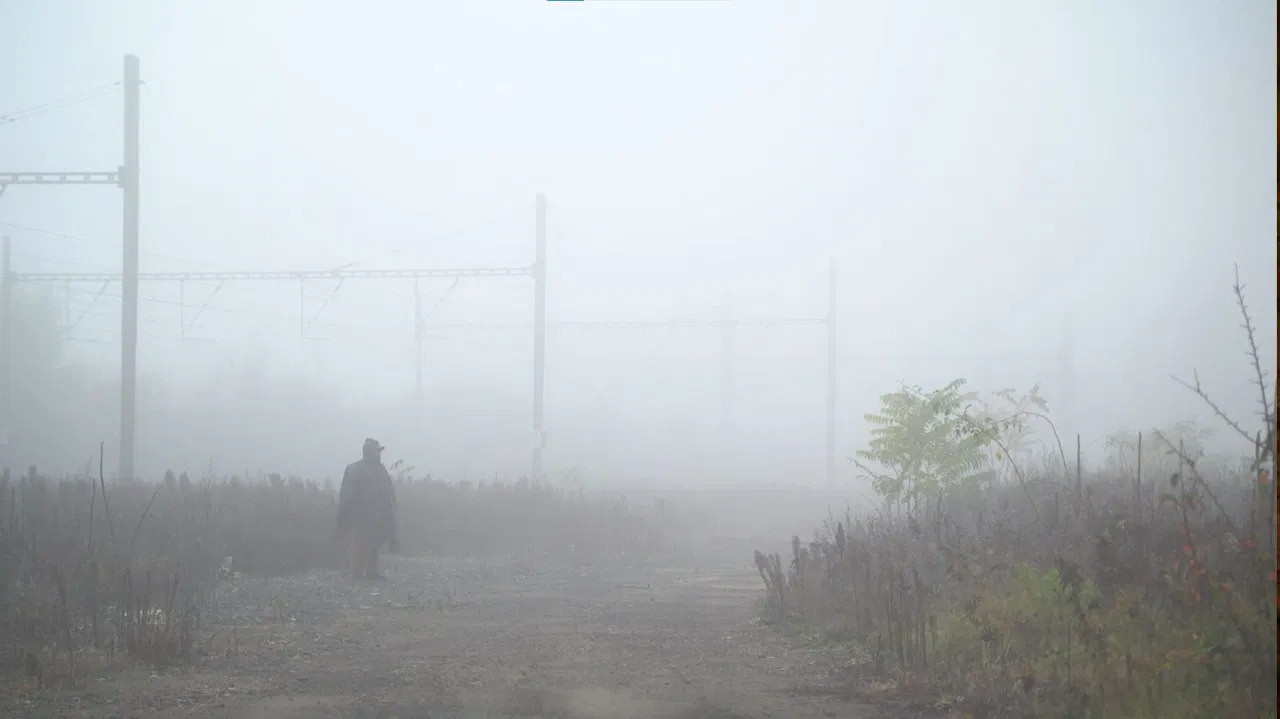 Blue Moon Once backdrop