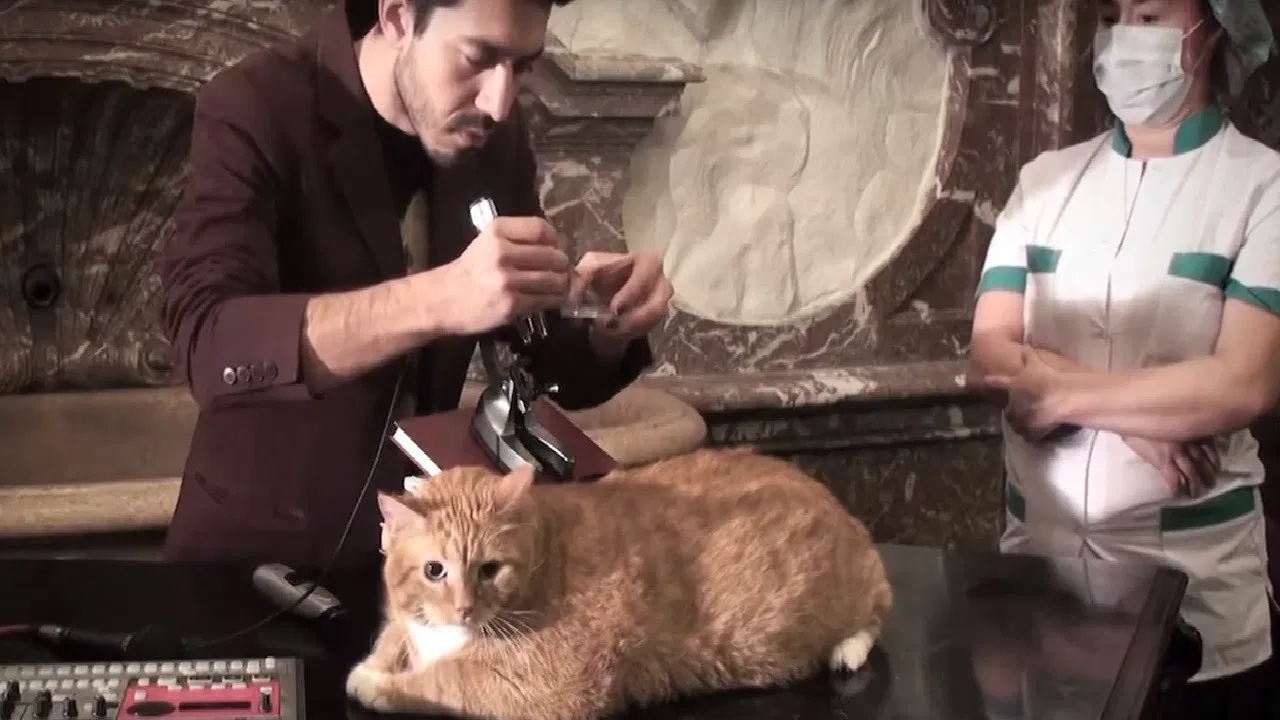 Metacinema appliqué backdrop