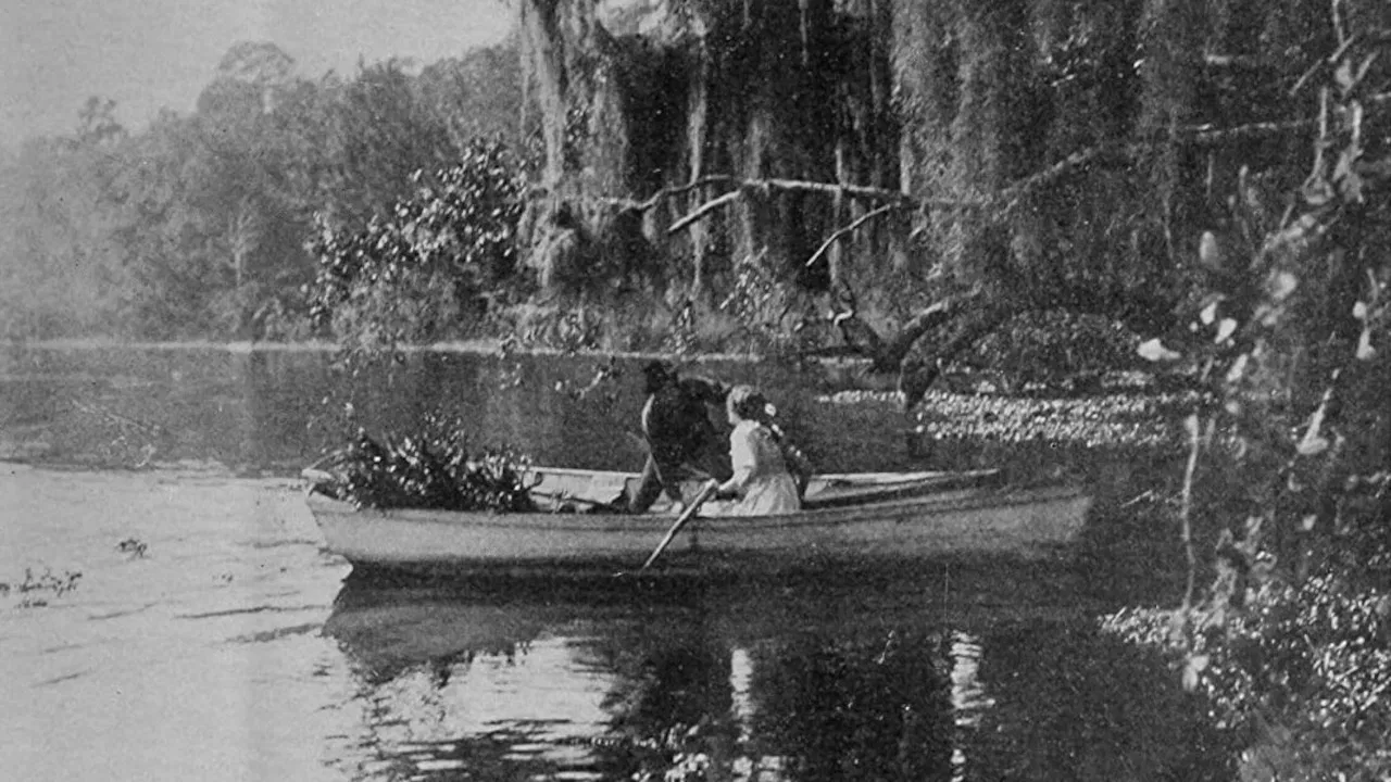 The Suwanee River backdrop