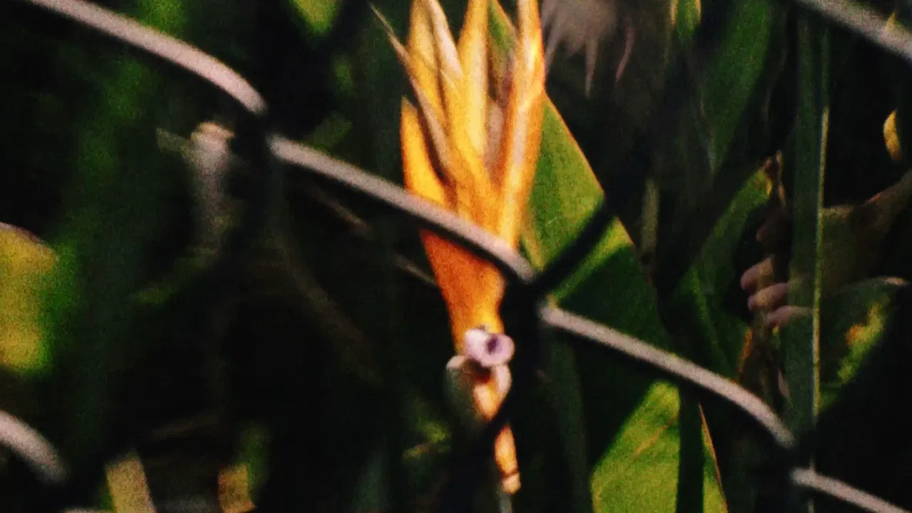 Adrift Potentials backdrop