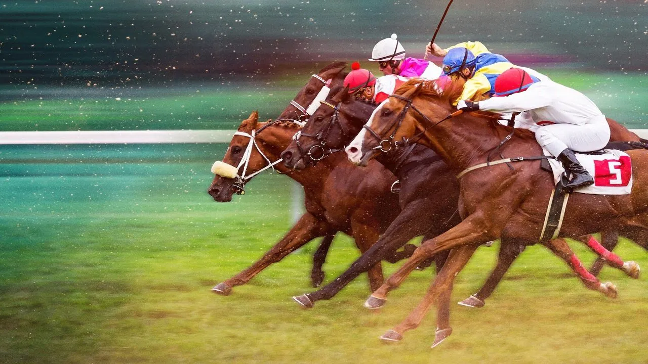 Race for the Crown backdrop