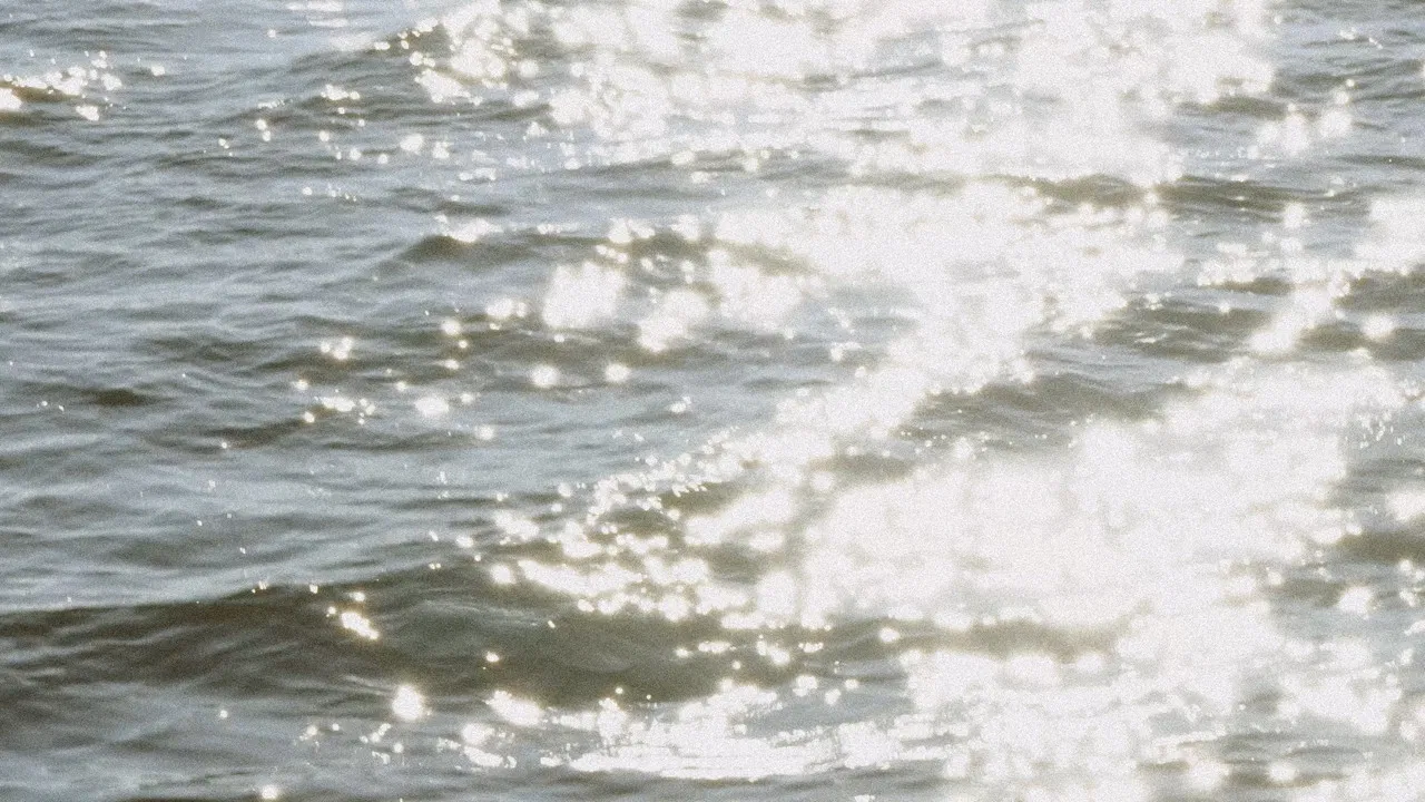 My language in a nutshell backdrop