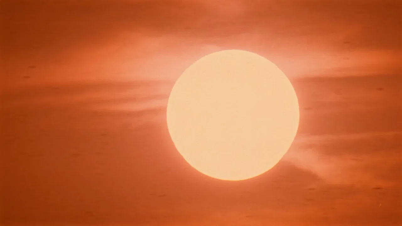 Too Bright to See (Part I) backdrop