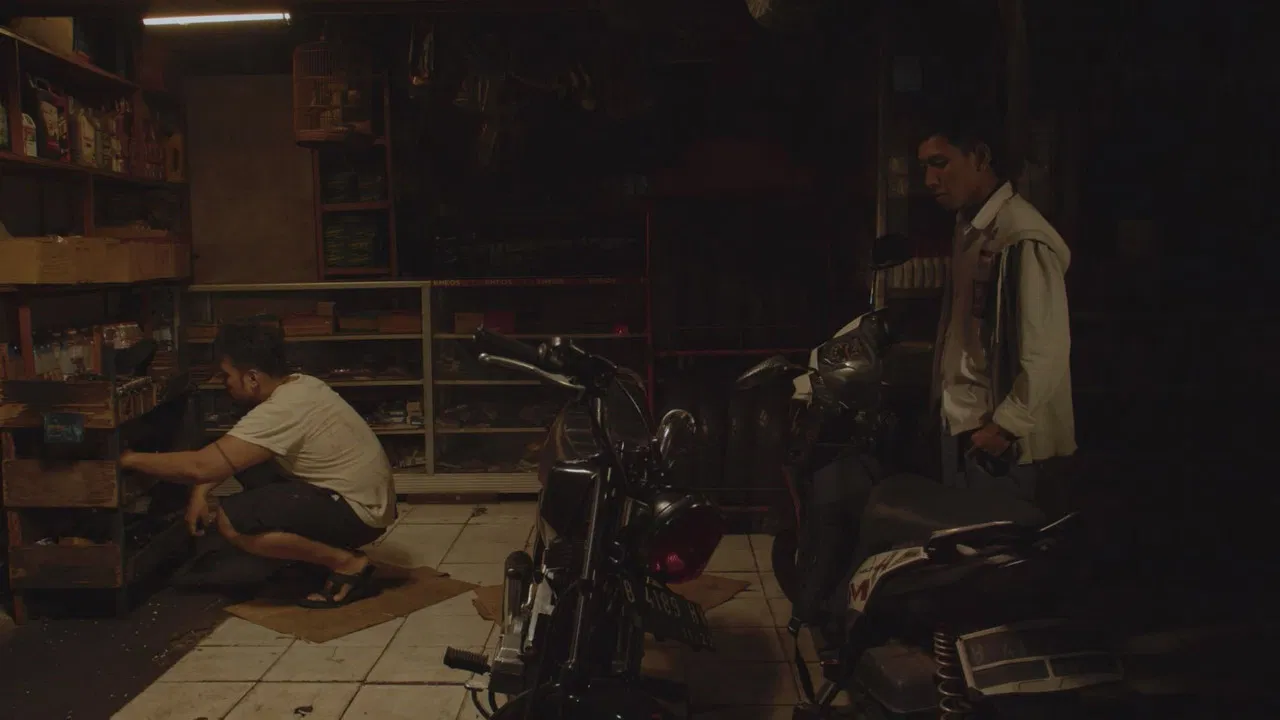 Chorus of the Wounded Birds backdrop