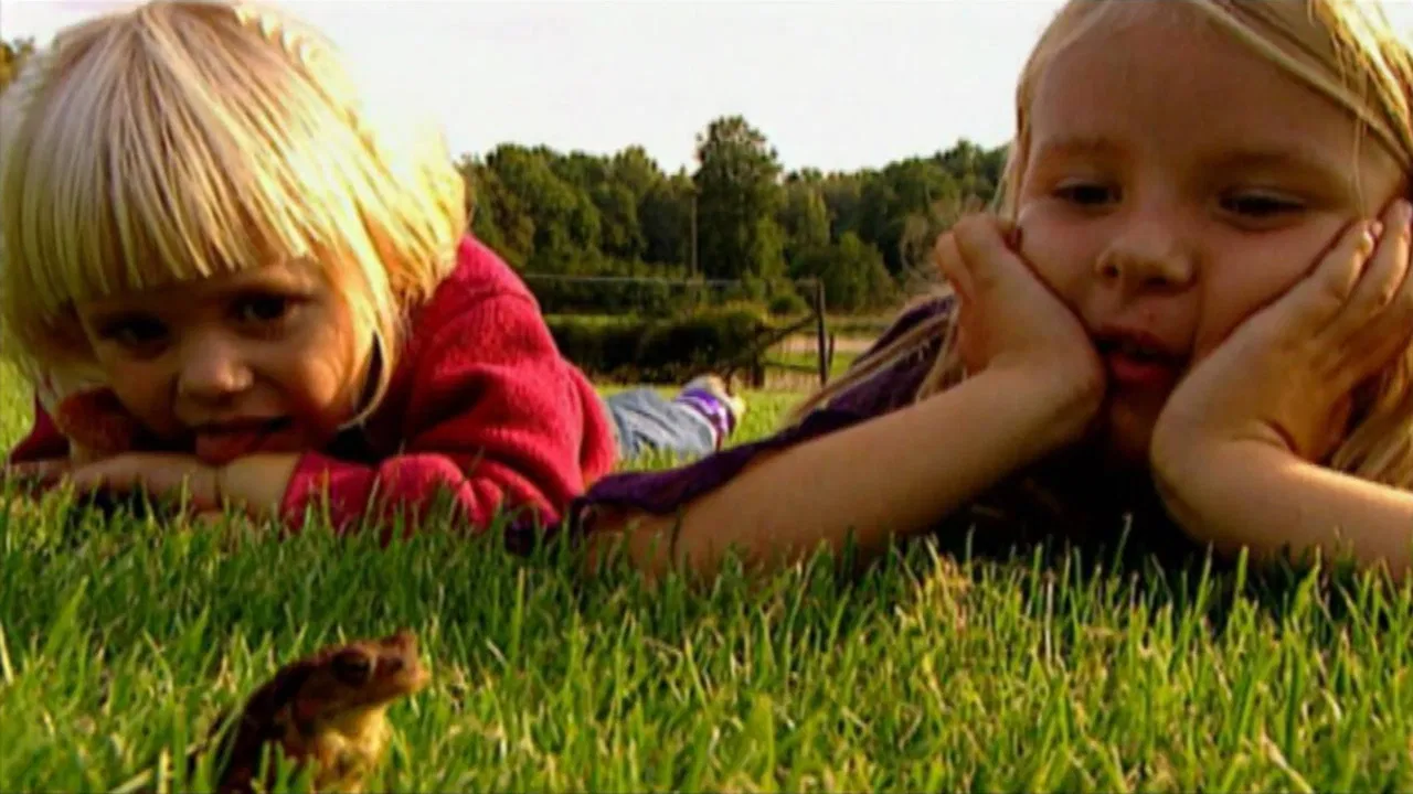 Myten om prinsgrodan backdrop