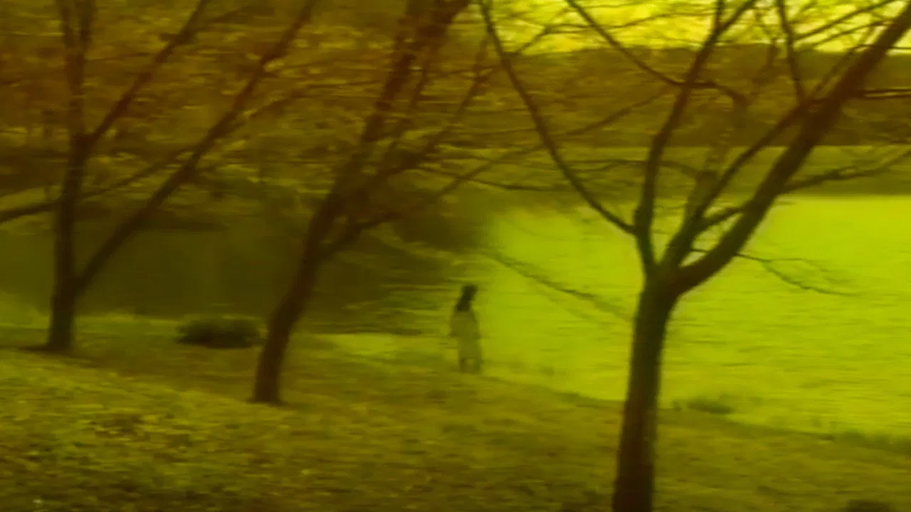 Sensual Forest Beauty backdrop