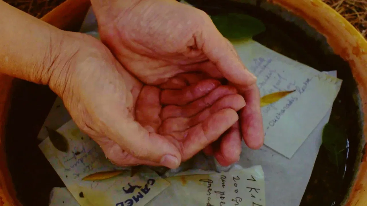 A garden of words backdrop