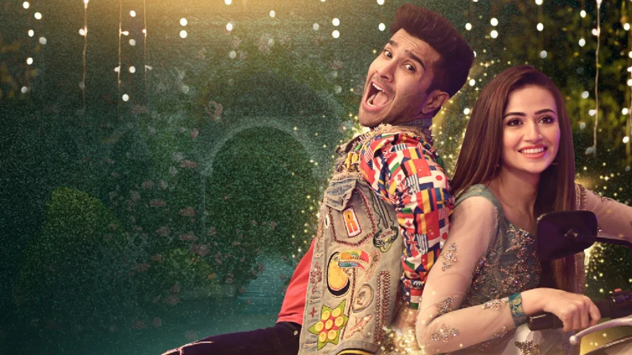 Romeo Weds Heer backdrop