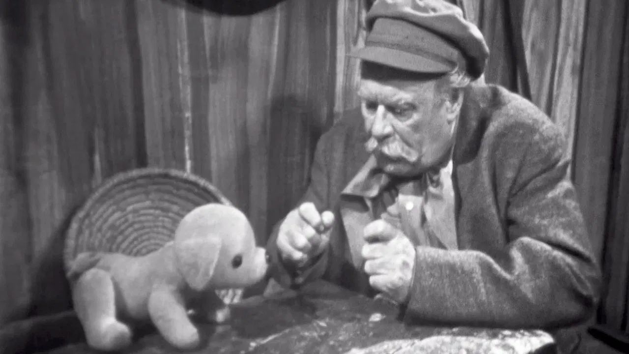 Psí pohádka backdrop