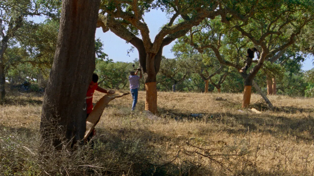 The Seasons backdrop