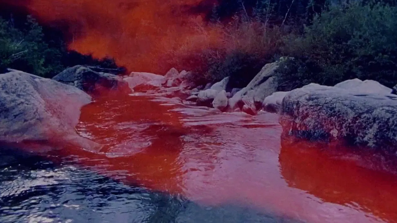 Running Shadow II backdrop