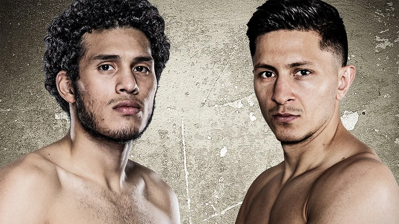 David Benavidez vs. Ronald Gavril backdrop